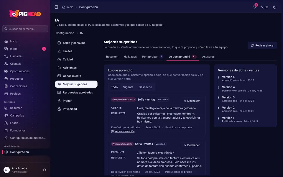 What the assistant learned, with its version and the undo button