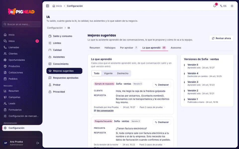 What the assistant learned, with its version and the undo button